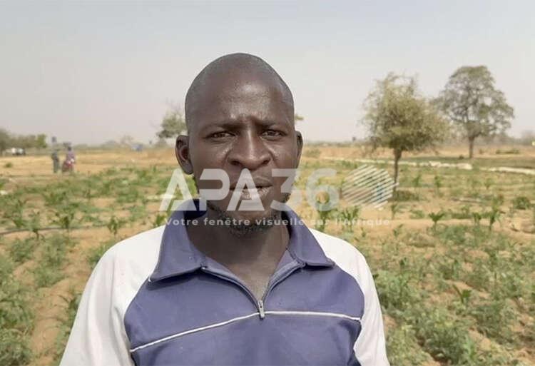 Au Burkina Faso, des déplacés internes trouvent refuge dans l'agriculture