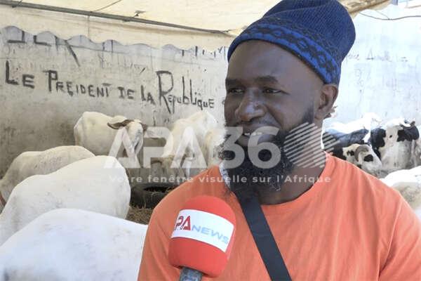 Sénégal : Ibou Nguatté ou le pari du mouton à 1,5 million de francs CFA