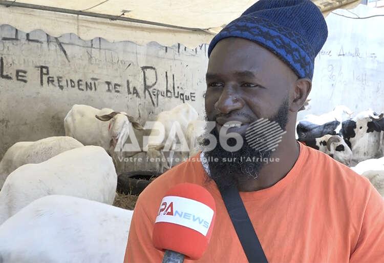 Sénégal : Ibou Nguatté ou le pari du mouton à 1,5 million de francs CFA