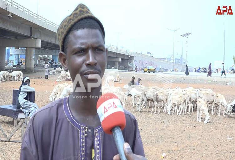 Sénégal /Tabaski : les invendus racontent une autre réalité du marché